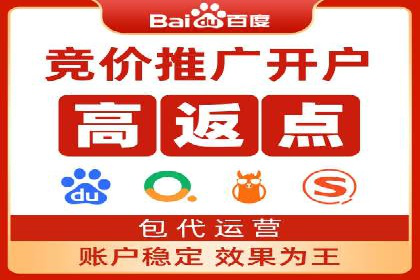 SEM代运营公司案例分析报告